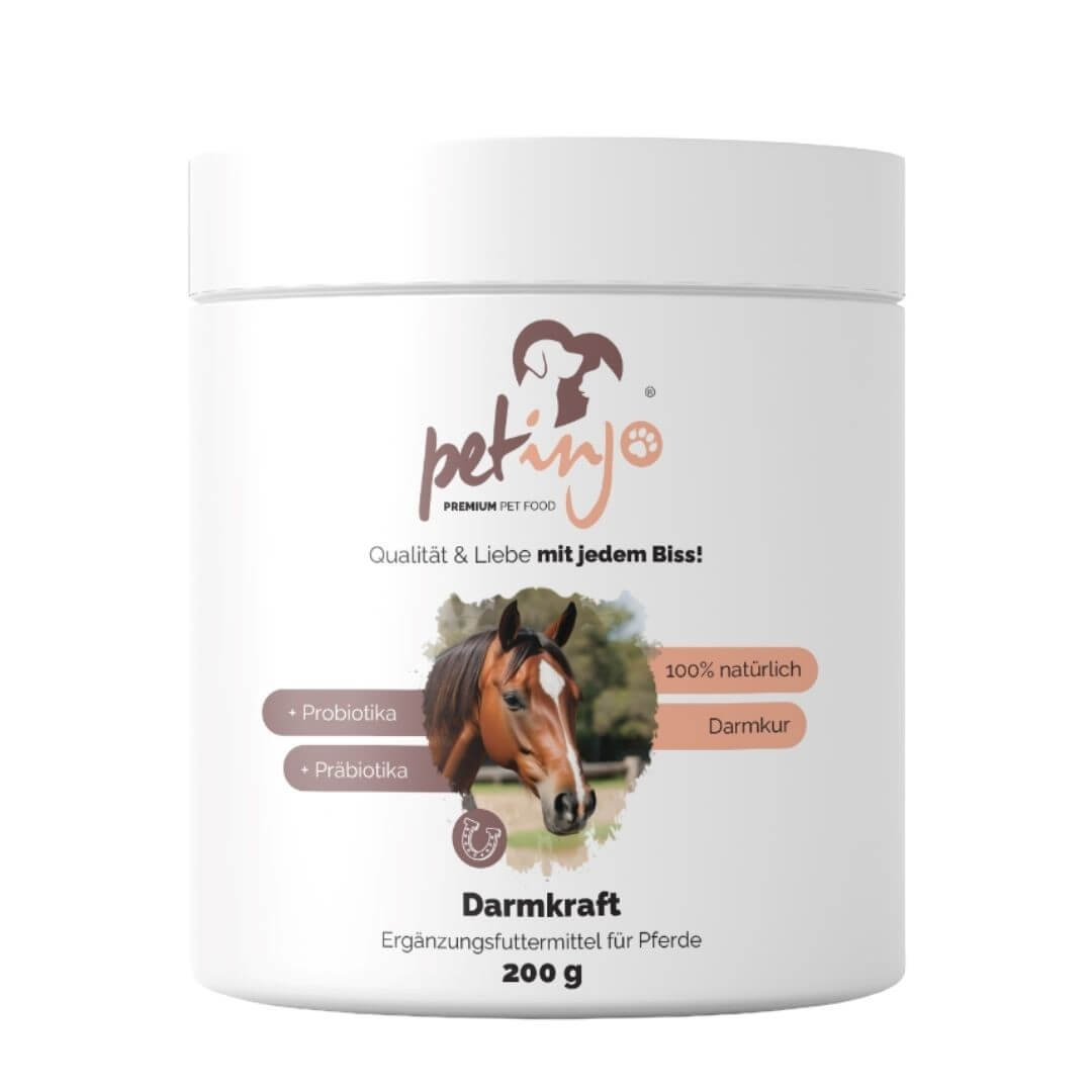 Darmkraft 200g Pferd