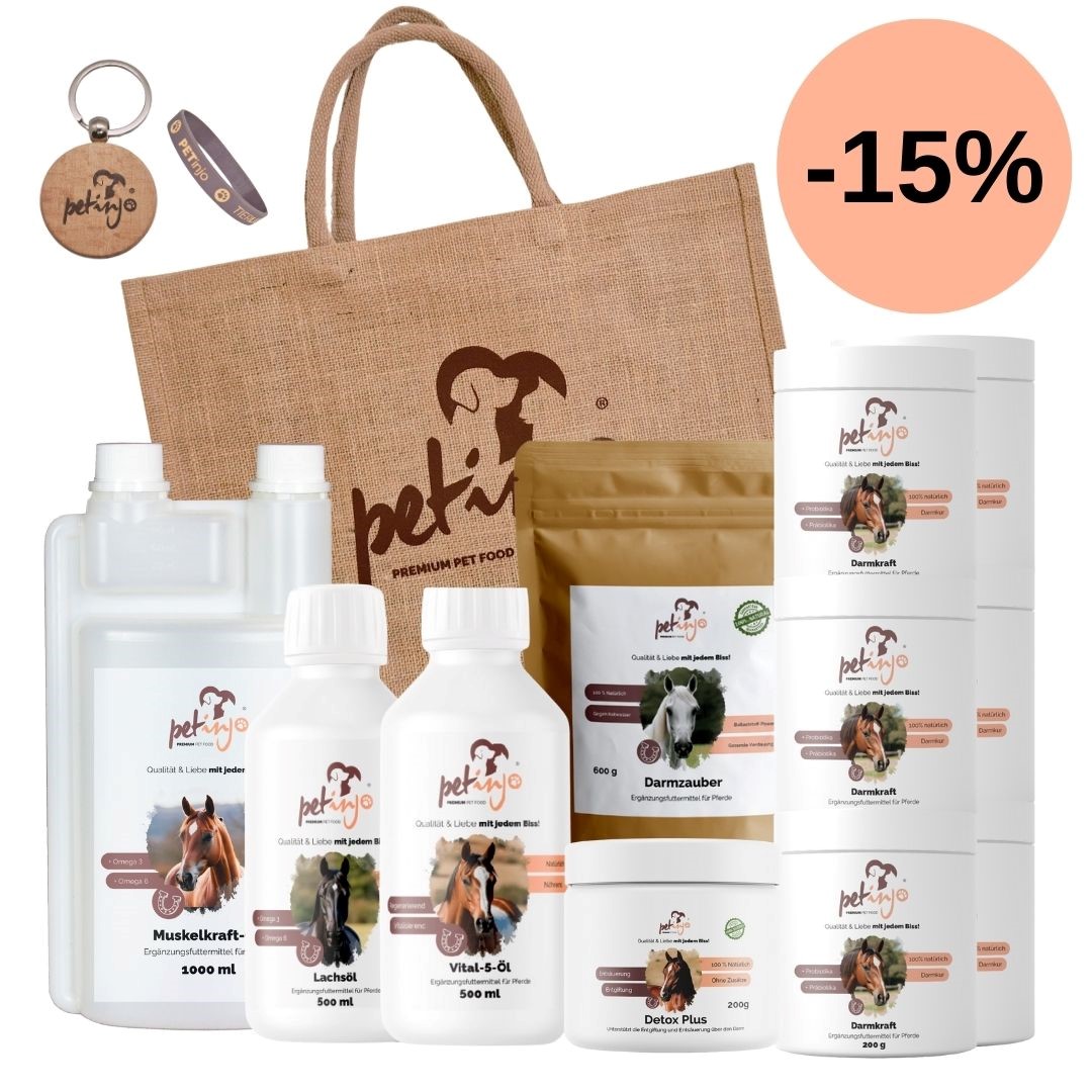 Kennenlernpaket Goldene Mähne